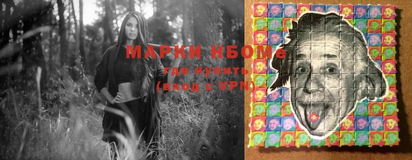 гашик Осинники