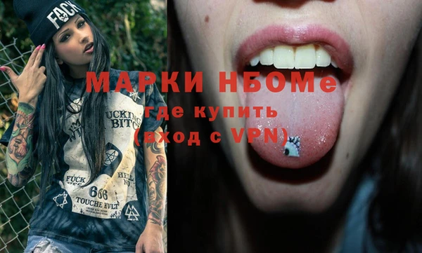 молекула духа Пестово